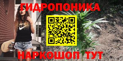 винт Краснодар