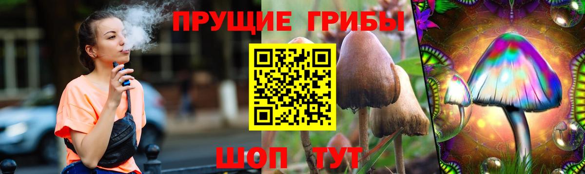Энгельс  Галлюциногенные грибы Psilocybe  Вход с VPN 